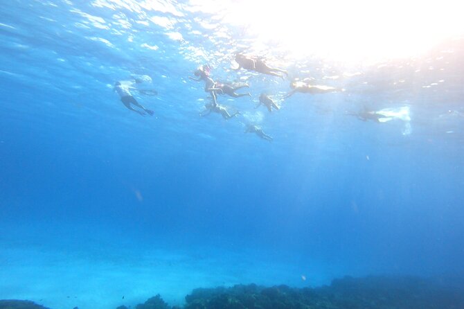 Cozumel Snorkeling Reef Experience with Ceviche and Beers - What the $129 price really covers