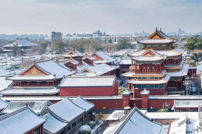 Dim Sum Breakfast&Tailored Beijing Highlights Tour-Pick Your Spot - The Temple of Confucius and Imperial College add a different lesson