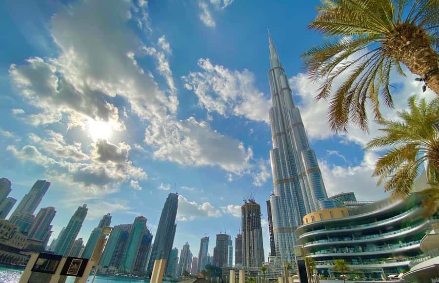 Dubai: City Highlights Tour with Blue Mosque & Street Food - Who should book this Dubai tour?