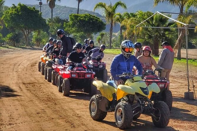 Enesenda Shore Excursion ATV Adventure with Tacos & wine tasting - Key points to know before you book