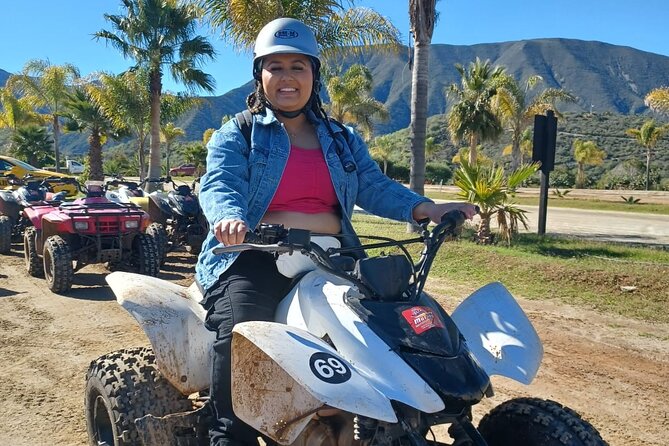 Enesenda Shore Excursion ATV Adventure with Tacos & wine tasting - La Bufadora and the busy vendor area