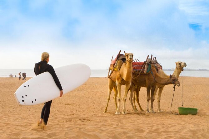 Essaouira Guided Tour: 3 on 1 - Nightlife tour, Live like a local & Street food - The ramparts: Essaouira’s stone edge