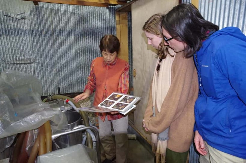 Explore Matsumoto: Castle, Sake & Taste of Local Life - Pace, walking, and who will enjoy it most