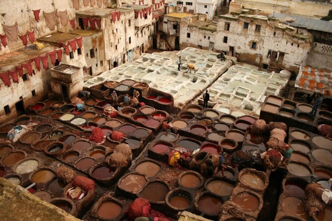 Fez Street Food Tour - Key points to know before booking