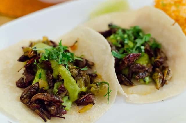 Food Hoppers 2.5-Hour Tour in Playa del Carmen - Meeting Panda, or confirming your guide first
