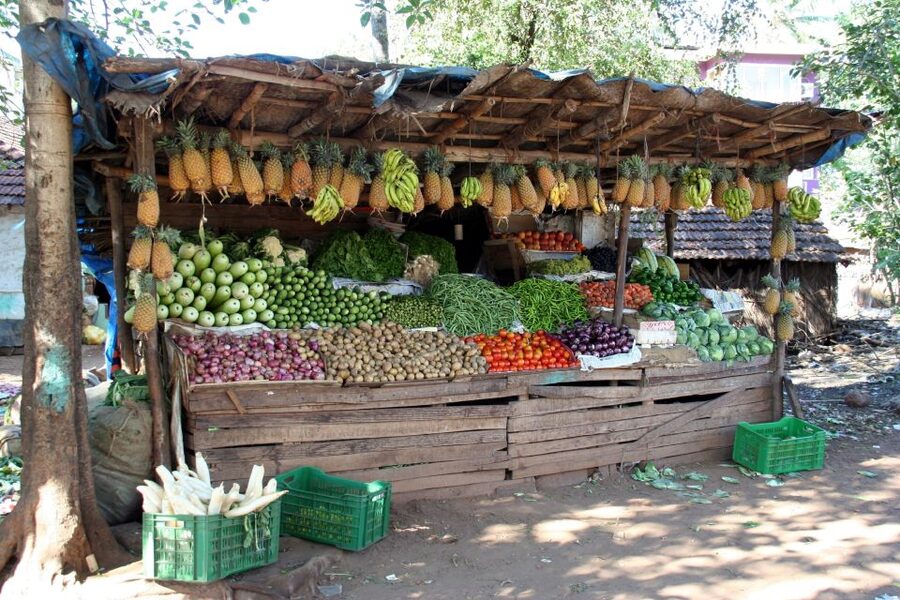 Goa Street Food Crawl: Authentic Food Tasting Experience - Practical Tips Before You Go
