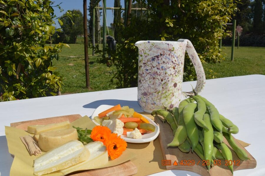 Grosseto: visit the family farm with tasting of local food - The seasonal snack: cheese, wine, vegetables, and water