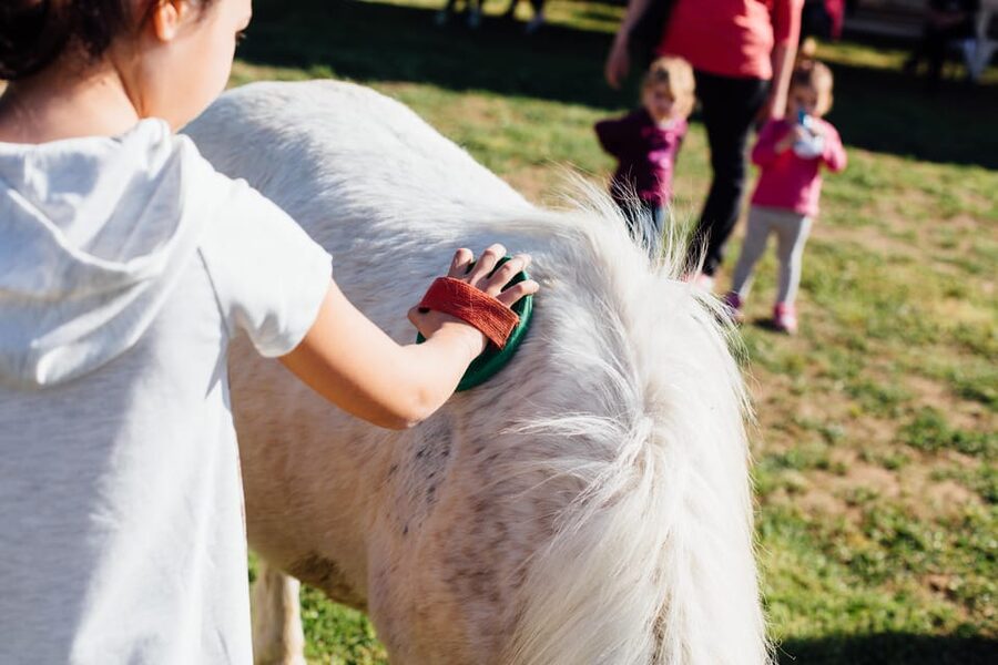 Grosseto: visit the family farm with tasting of local food - Why the two-hour format works