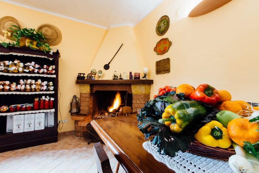 Grosseto: visit the family farm with tasting of local food - Accessibility, children, and pets