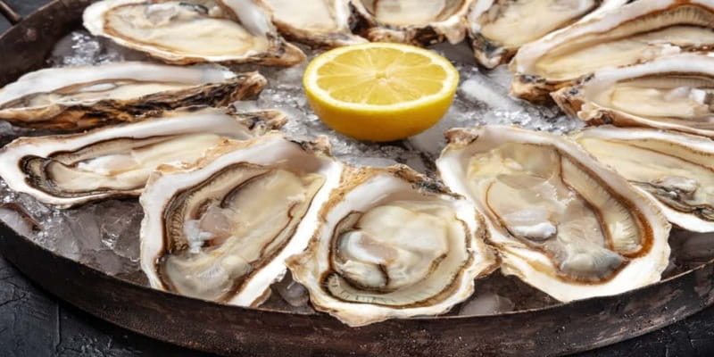 Halifax Harbourfront Food Walking Tour - Key points to know before you book
