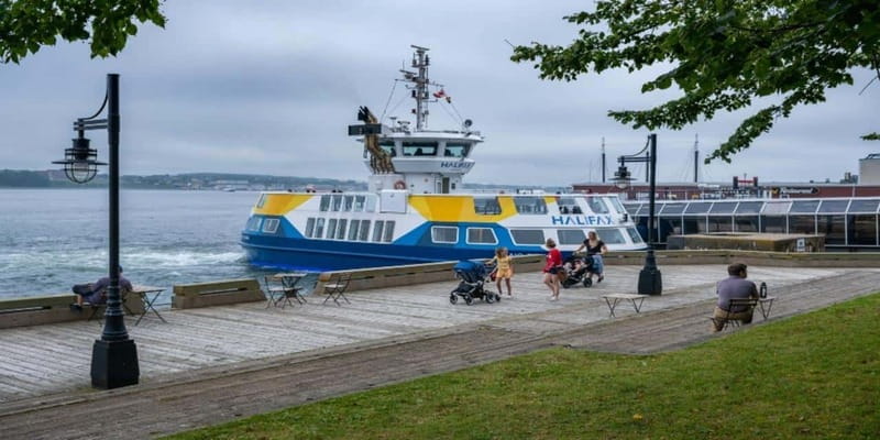 Halifax Harbourfront Food Walking Tour - Price, timing, and booking flexibility