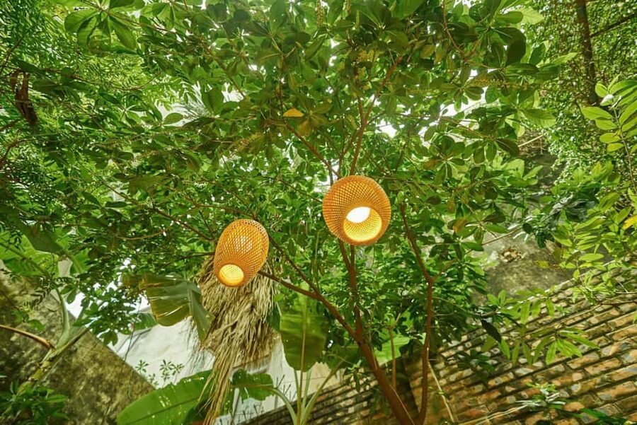 Hanoi: Rose Kitchen: Pho/Bun Cha/Nem+ Free Egg/ Salt Coffee - Key points at a glance