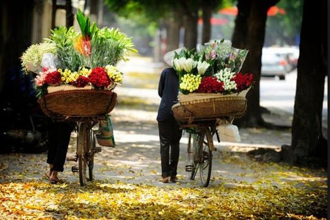 Hanoi street food tour (small group) - What $28 buys you