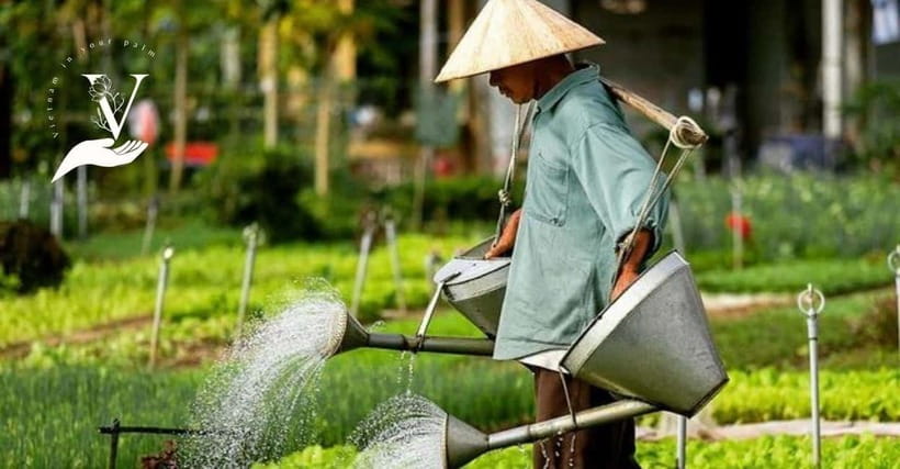 Hoi An Food Tour - Street Eats And Hoi An Hidden Gems - Finding Hoi An’s quiet food alley