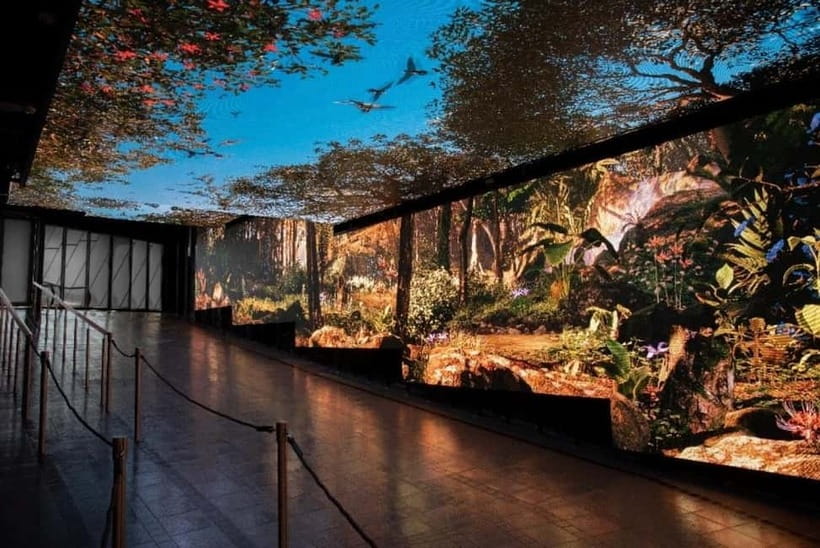 Hong Kong Day Tour: Priority Peak Tram, City Walk & Dim Sum - The jewelry stop and other trade-offs