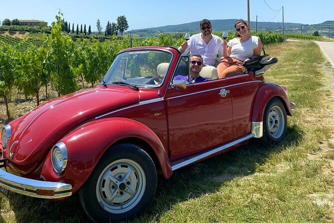 Horse ride, Olive Oil and local foods tasting in a Tuscan farm - From the stable to a medieval olive estate
