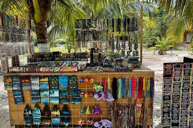 Island Tour in Cozumel, Mayan Show & Tacos - Chulas Pool Party and Beach Bar: the final 45 minutes