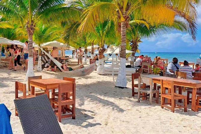 Island Tour in Cozumel, Mayan Show & Tacos - Meeting point, timing, and taxi advice