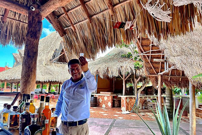 Island Tour in Cozumel, Mayan Show & Tacos - El Mirador: rocks, cave, and blowholes in 30 minutes