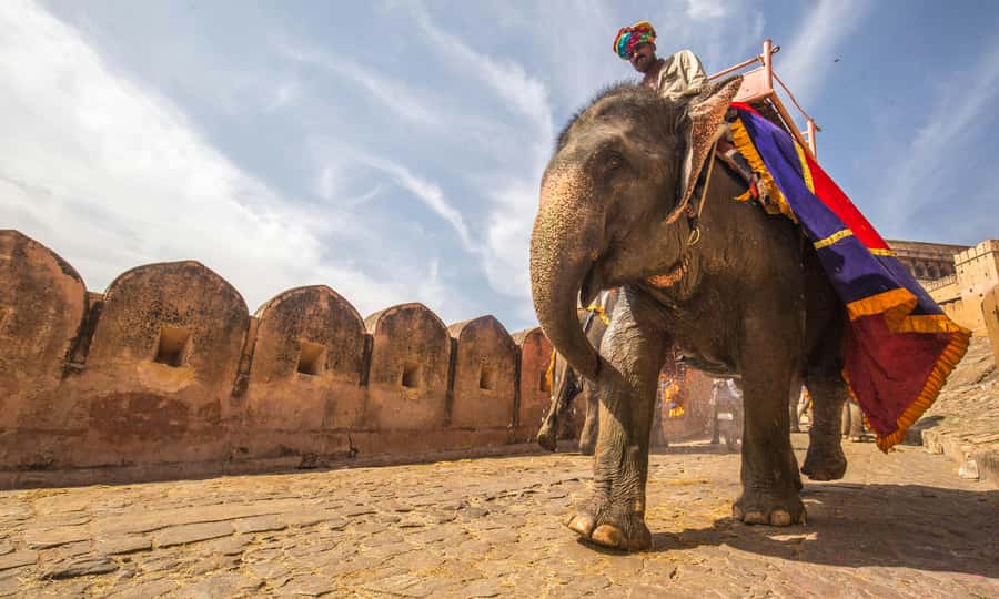 Jaipur: Private Full Day City Tour With Street Food - Starting With Jaipur Street Food