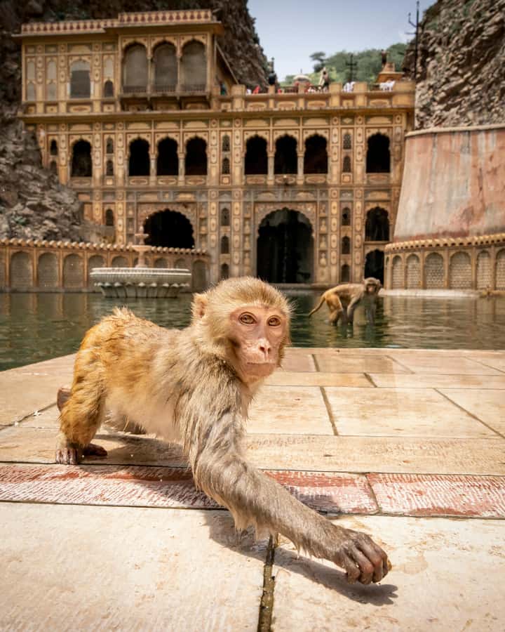 Jaipur: Private Full Day City Tour With Street Food - Amber Fort, Jaipur’s Big History Stop