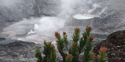 Jakarta: Volcano, Tea/Rice Fields, Hot Spring, Local Food