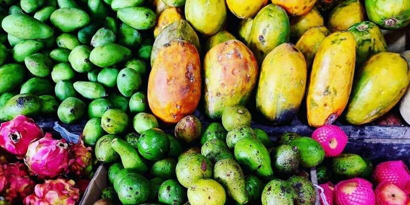 Jakarta: Volcano, Tea/Rice Fields, Hot Spring, Local Food - Fruit Paradise and Java’s best snack stop