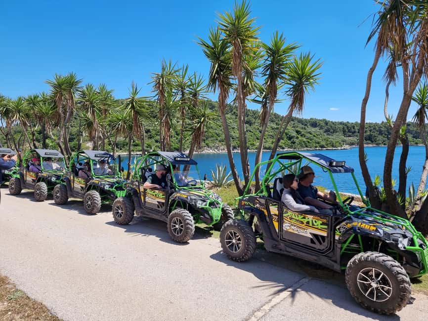 Korcula: Buggy Safari with Local Food and Wine Tasting - Vineyards, olive trees, and wide island views