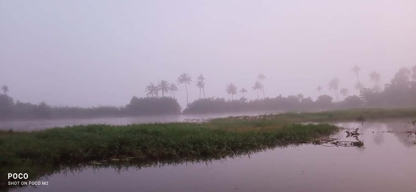 Kumarakom: Sunrise Cruise With Village Life and Local Food - A Kerala Breakfast Worth the Early Wake-Up