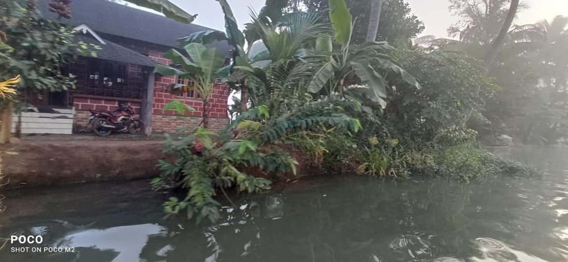 Kumarakom: Sunrise Cruise With Village Life and Local Food - How Much Value Do You Get for $65?