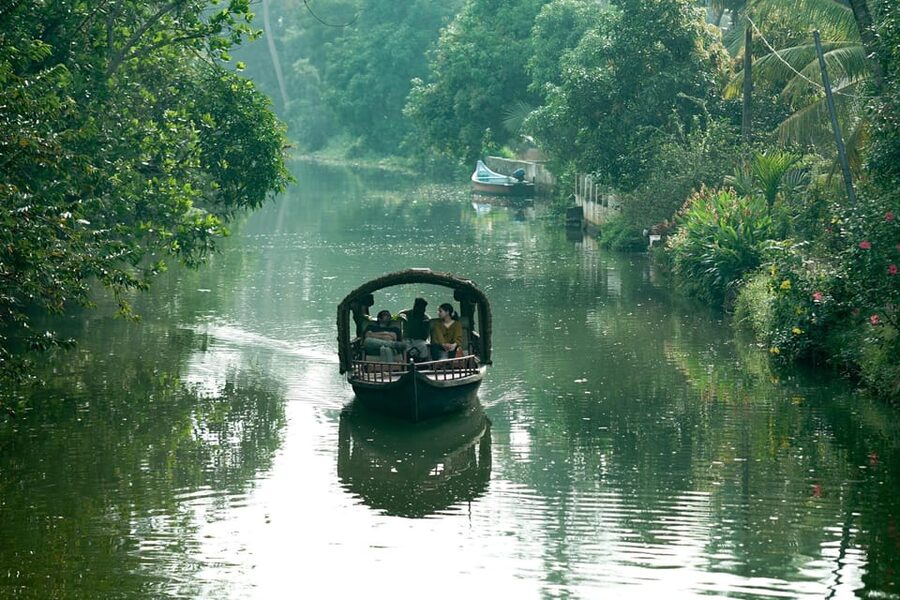 Kumarakom: Sunset Cruise with Village Life and Local Food - Birdlife, plants, and the value of a good navigator