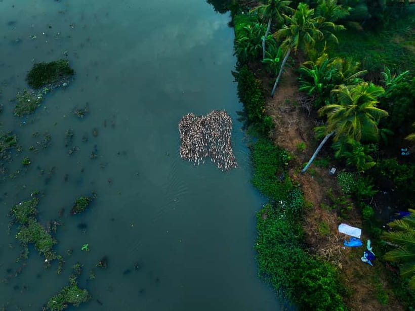 Kumarakom: Sunset Cruise with Village Life and Local Food - A narrow canal with plenty to notice