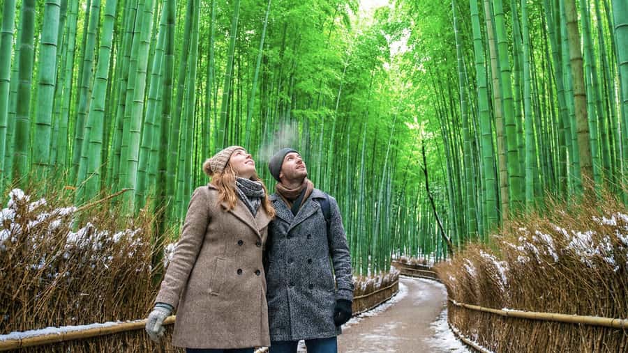 Kyoto: Arashiyama Unveiled Bamboo, Temple, Matcha, & Monkeys - Why this Arashiyama route works
