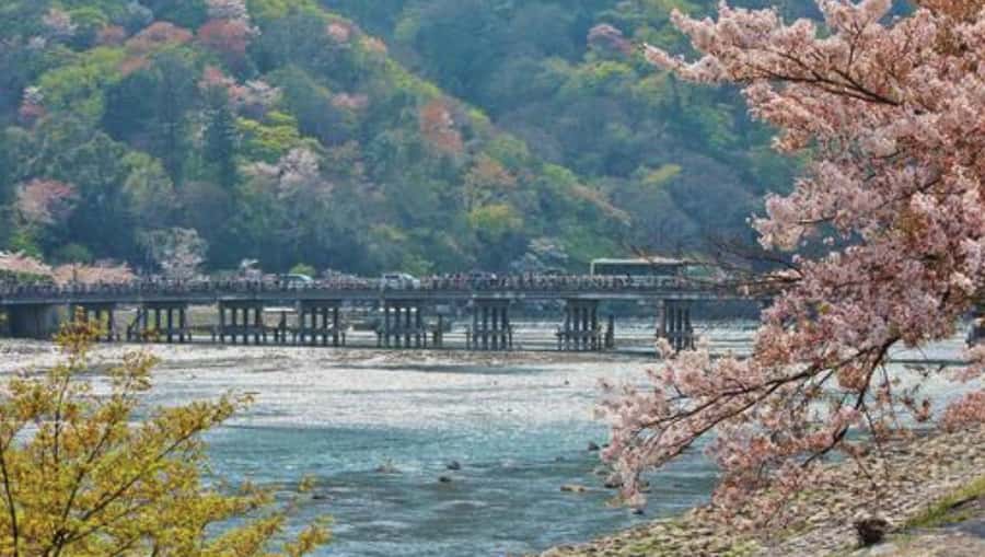 Kyoto: Arashiyama Unveiled Bamboo, Temple, Matcha, & Monkeys - Walking beneath Arashiyama’s bamboo