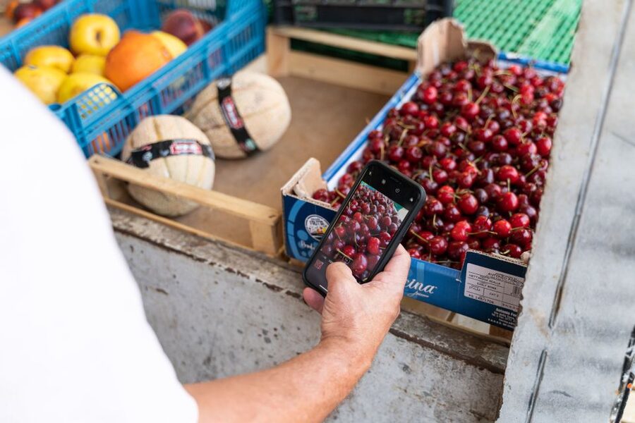 La Spezia: Small-Group Street Food Tour - What the $105 price means