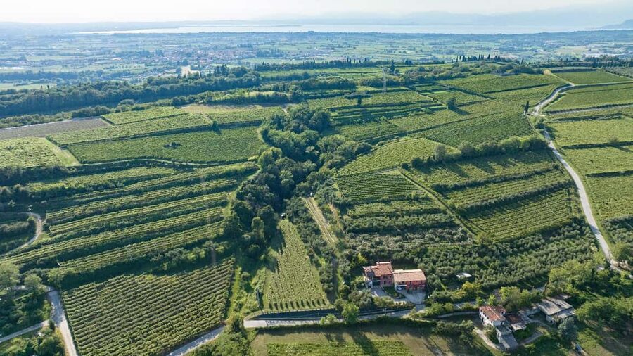 Lake Garda: Tour with 4 Olive Oil Tasting & Local Food - Food limits and what you will actually eat