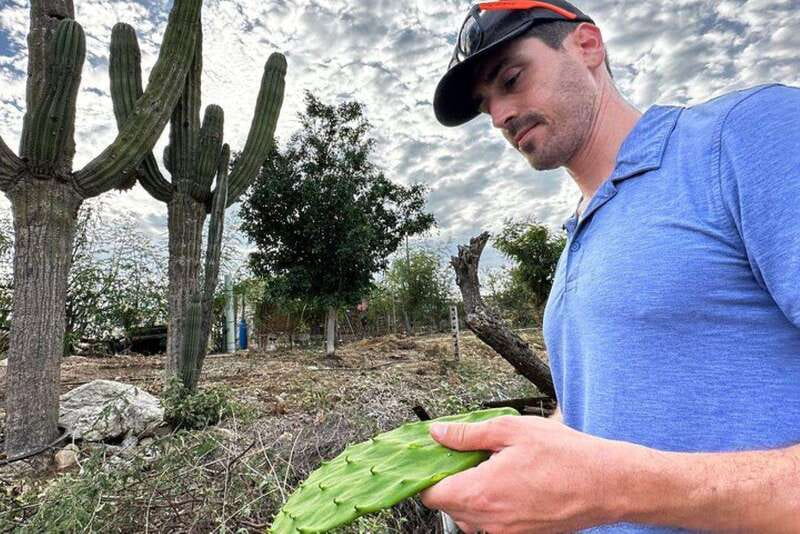 Los Cabos: Azteca Cactus Taco Farm to Table Cooking Class - What the $95 price includes