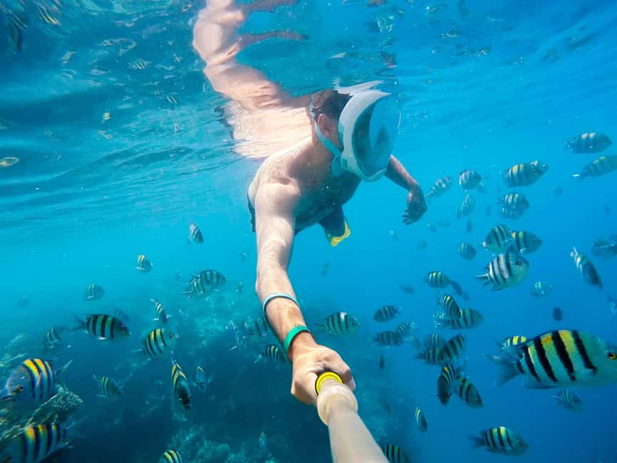 Marsa Alam:Sataya Reefs Dolphin Snorkeling Cruise with Lunch - Setting out by boat for Dolphin House