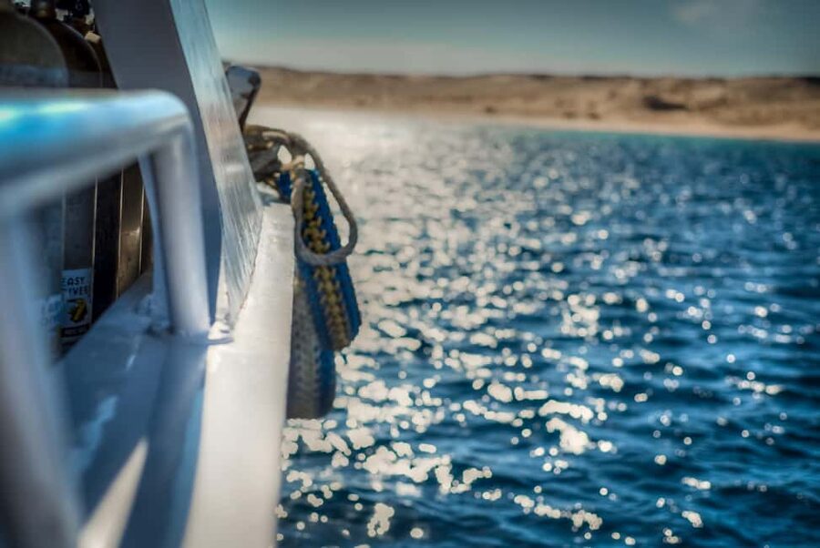 Marsa Alam:Sataya Reefs Dolphin Snorkeling Cruise with Lunch - Who should book this Marsa Alam cruise?