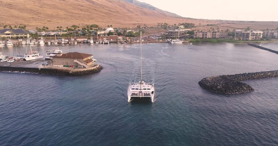 Maui: Luxury Catamaran Turtles & Tacos Snorkel - Comfort details that make the difference