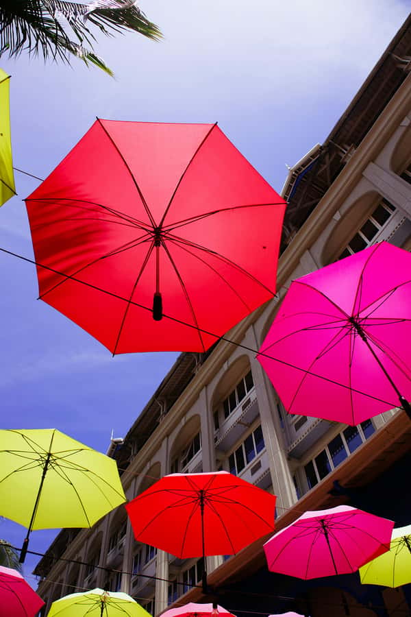 Mauritius: Snorkeling with Turtles & Port Louis Street Food - From Trou aux Biches water to Port Louis street food