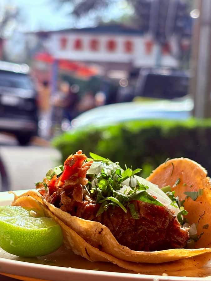 Mexico City: Taco Tour with Michelin Guide Spot & Tastings - Who should book, and who should skip it?