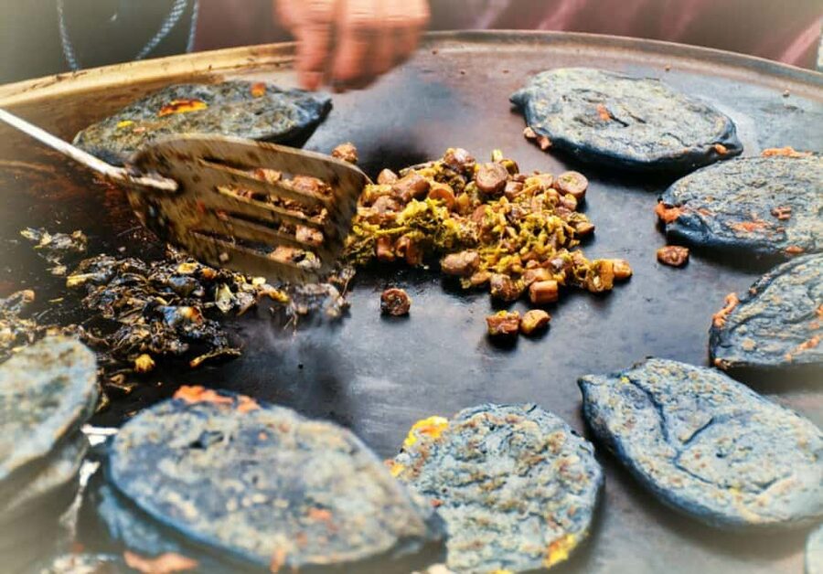 Mexico City: Vegan and Vegetarian Street Food Adventure - Alameda Central and the first street-food tastings