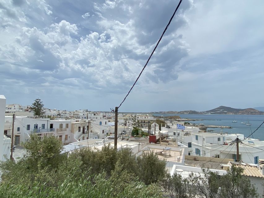 Naxos: Food Walking Tour & Cooking Class with Meal & Drinks - A food tour that begins in the market