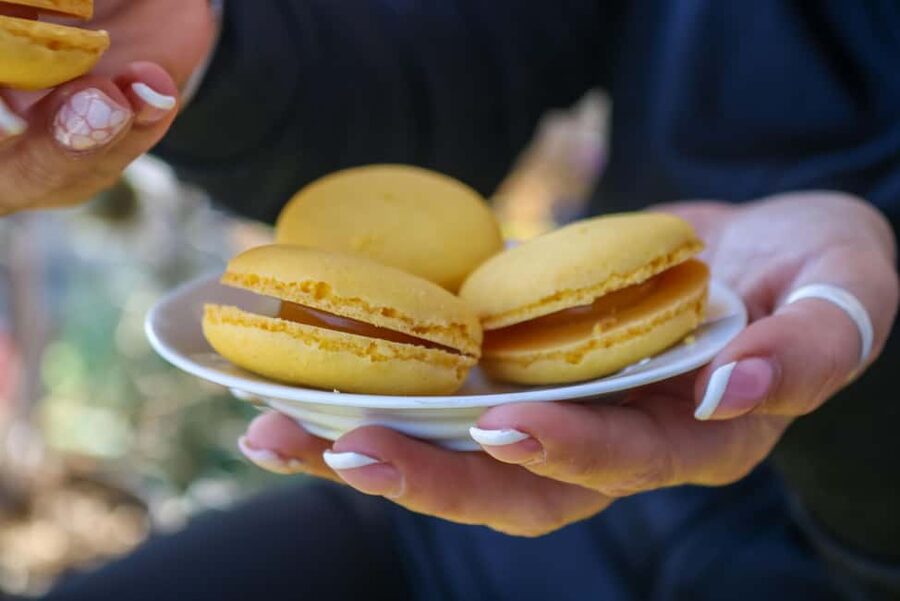 Nice: Old Town Food Walking Tour - Wine, bread, cheese, and cured meat