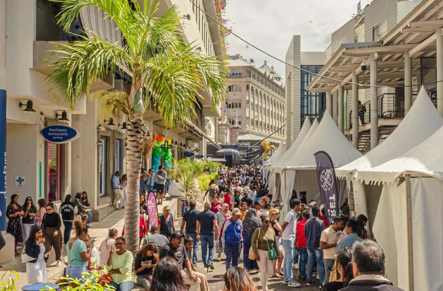 North Tour Of Mauritius With Street Food tasting - Fort Adelaide and the view over the capital