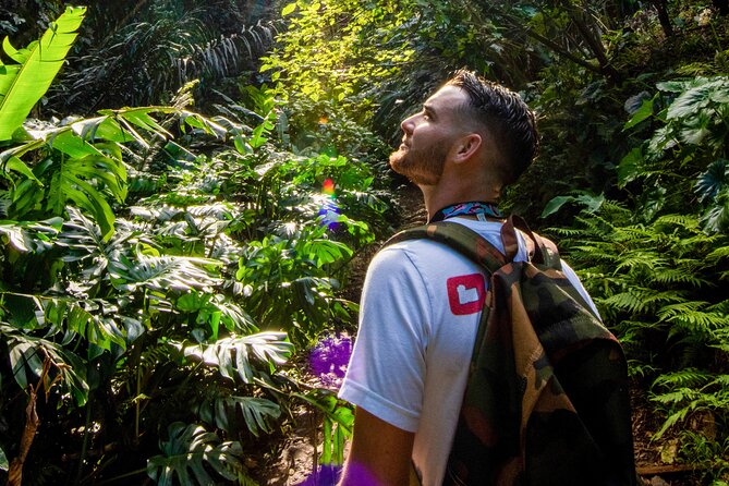 Oahu in a Day: Waterfall - Food Trucks - Lookouts - Small Crowds - Why this tour covers so much of Oahu