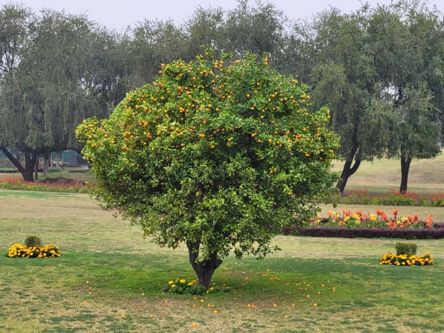 Old & New Delhi Private Day Tour with Expert Guide - India Gate and the formal heart of New Delhi