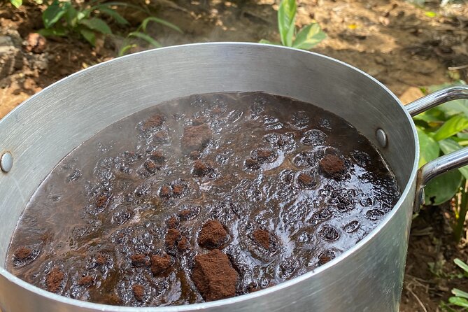 Organic Coffee Tour and Local Food Experience in Arusha - Who will enjoy this Arusha farm visit