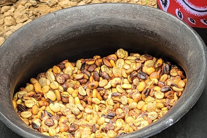 Organic Coffee Tour and Local Food Experience in Arusha - Picking coffee berries in Ambureni village